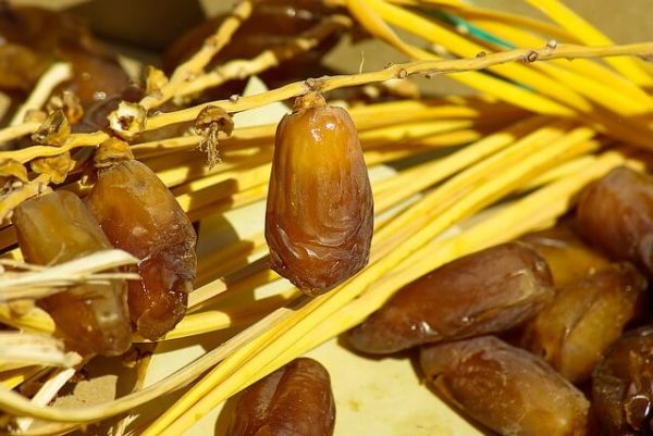 Health benefits of Dates Fruits or Dates fruit